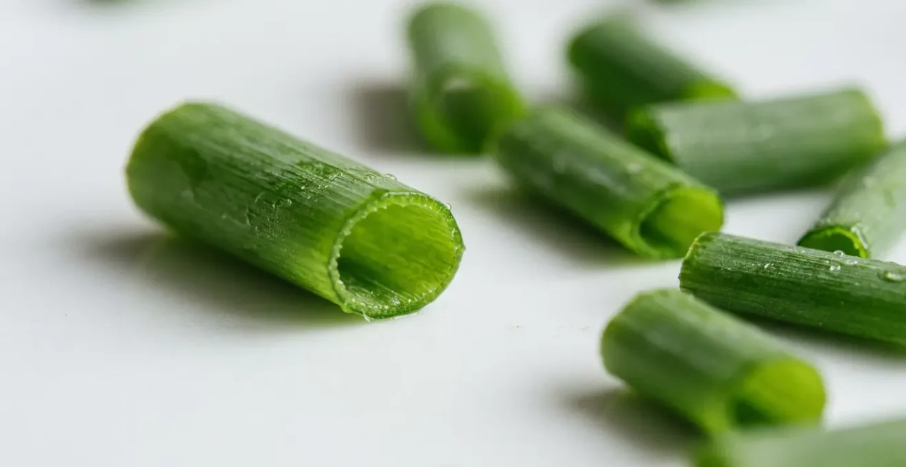 Herbes de ciboulette fraîche finement ciselées prêtes à parfumer un plat