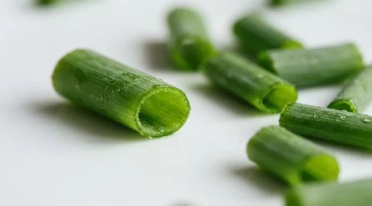 Herbes de ciboulette fraîche finement ciselées prêtes à parfumer un plat