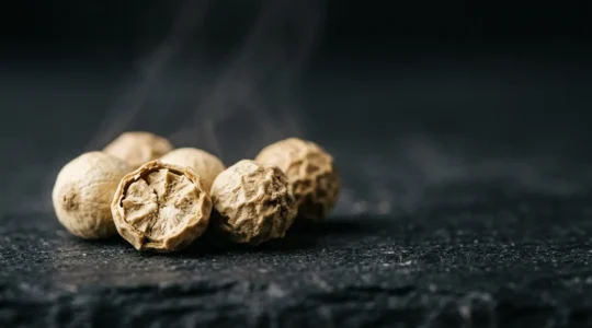 Grains de poivre blanc disposés artistiquement révélant leur texture crémeuse et leurs arômes subtils