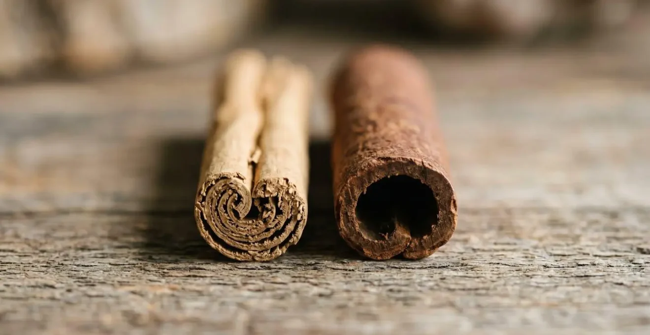 Comparaison visuelle entre cannelle de Ceylan et cannelle Cassia montrant les différences de texture et de couleur