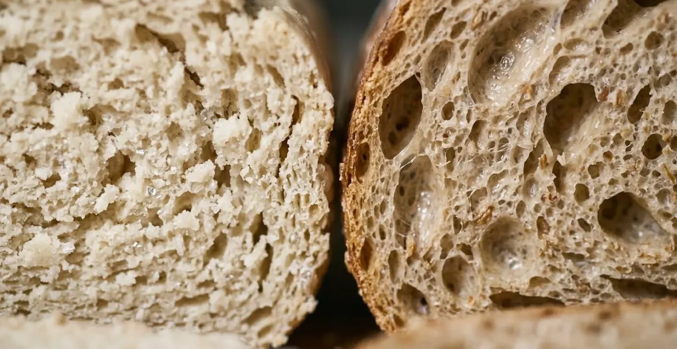 Gros plan sur la texture d'un pain montrant la structure de l'amidon et les différences entre mie moelleuse et mie friable